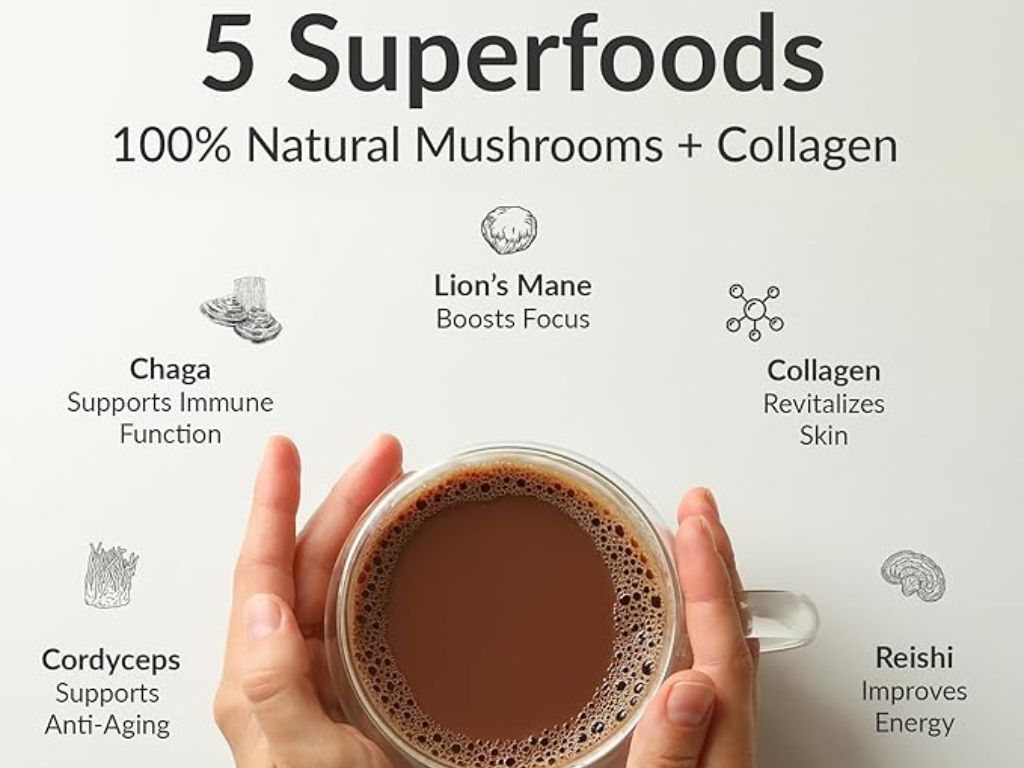BIOptimizers Mushroom Breakthrough - Chocolicious